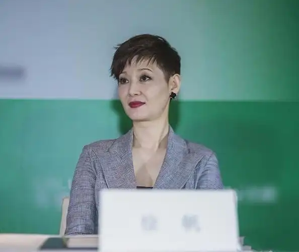 徐帆满脸褶子还不服老,穿透视裙亮相,叉腰看到了黑色打底衣!