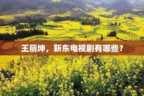 王丽坤,靳东电视剧有哪些?