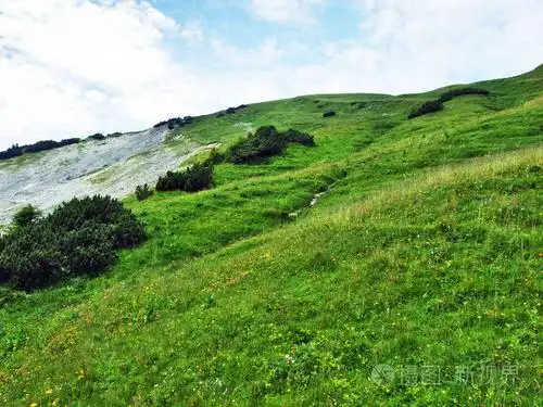 瑞士圣加伦州阿彭策尔阿尔卑斯山脉山坡上的高山牧场和草地