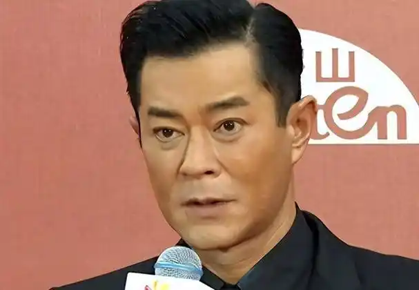 忍了古天乐,看到毛宁我真的忍不住笑了.