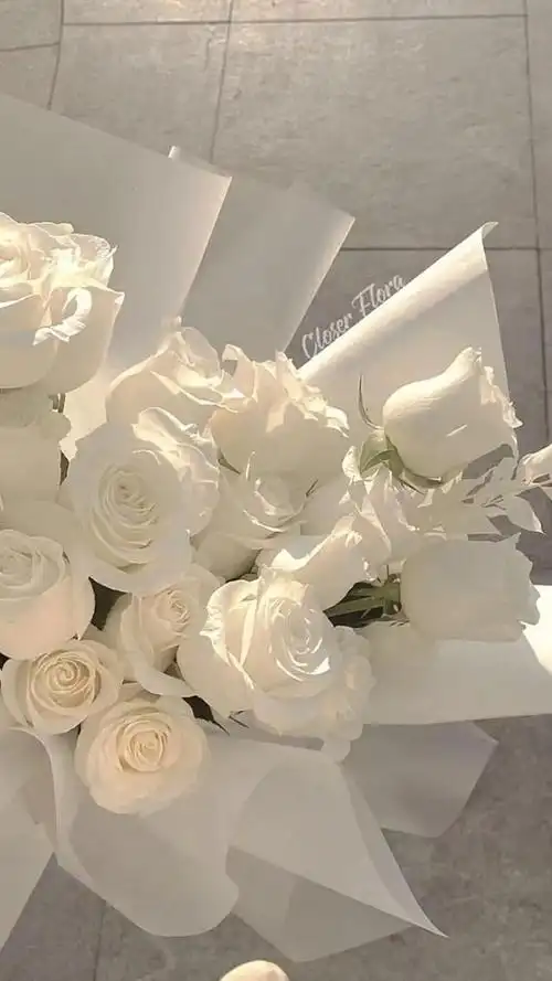 高级感色系壁纸