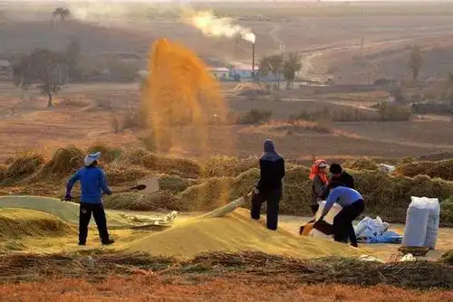 儿时乡村记忆(上)