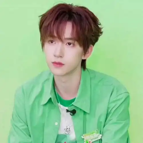 贺峻霖 二代唯一all绿##贺峻霖官方认证二代唯一all绿应援色