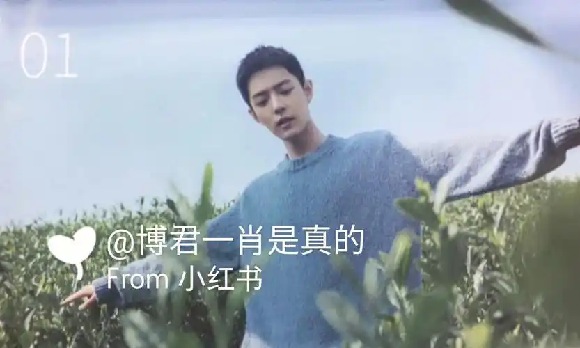 日常分享肖战壁纸