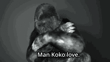 400_225gif 动态图 动图