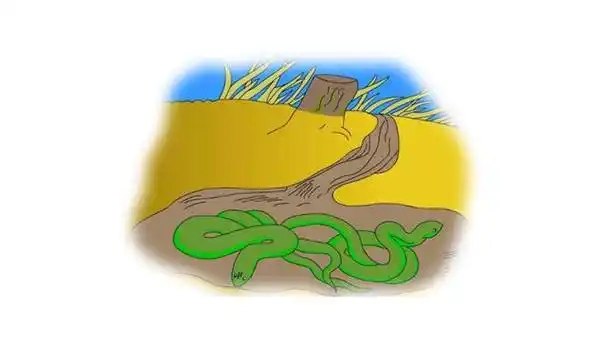 某个冬日,冬眠的蛇被顽皮的孩子从洞中扔出来,它在雪地中无力的爬行几