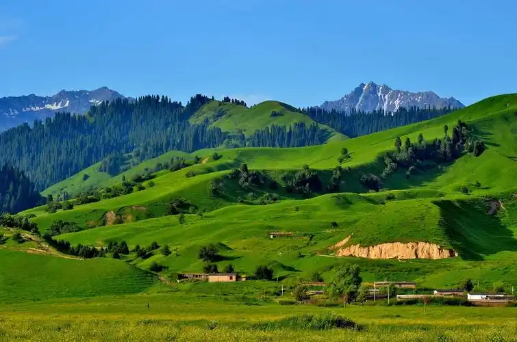 暑期旅行推荐:草原避暑,快带着孩子去撒欢吧_沙漠