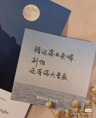 手写文字语录丨小红书星辰漫里