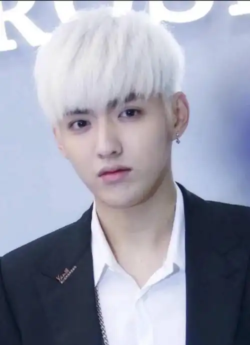 能抗住白发的男星真不多肖战高级吴亦凡浪漫罗云熙惊艳