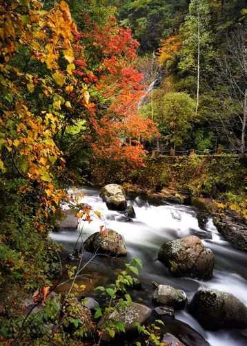 长白山十五道沟望天鹅景区