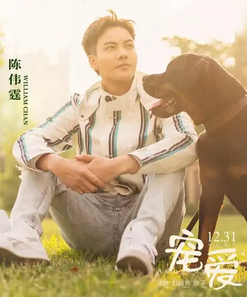 31陈伟霆《宠爱》陪你温暖跨年