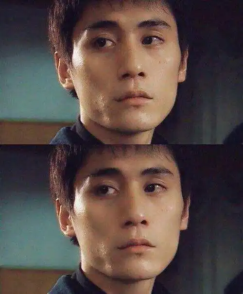 四年后,23岁厚积薄发的刘烨凭借《蓝宇》成为获得台湾电影金马奖最佳