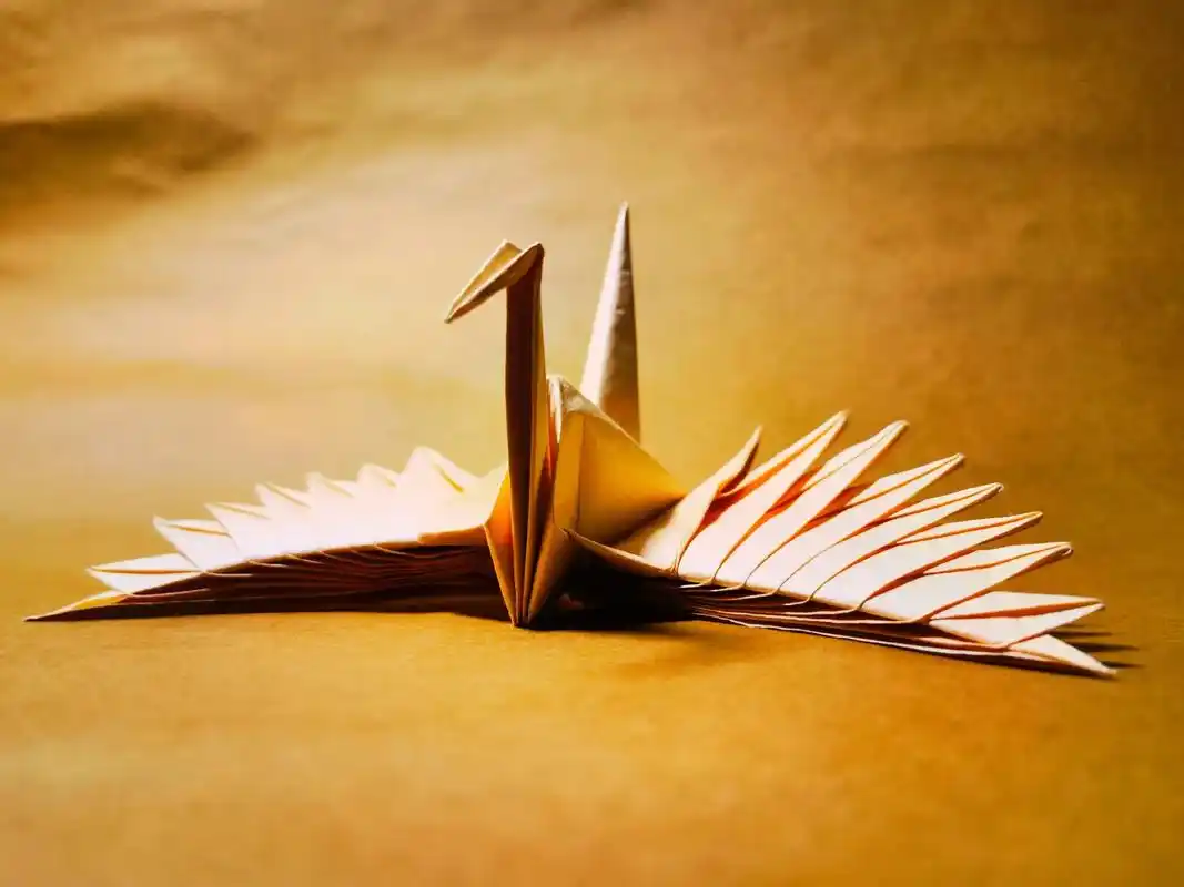 折纸羽翼千纸鹤#手工 #折纸 #艺术 #手工折纸 #折纸艺术 - 抖音