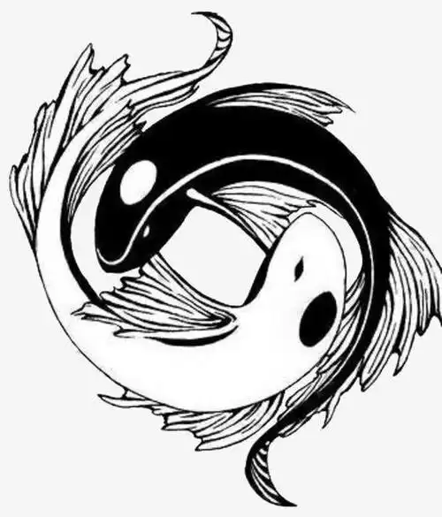 以前我未曾关注过太极图,更不知道太极图具有阴阳轮转,相辅相成的万物