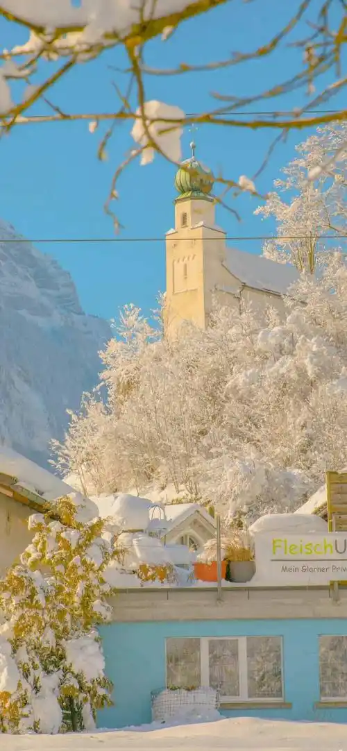 壁纸阳光正好微风不燥ins