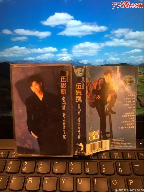 伍思凯爱与愁台湾点将原版