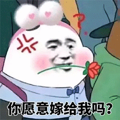 抖音这是钻戒嫁给我吧表情包
