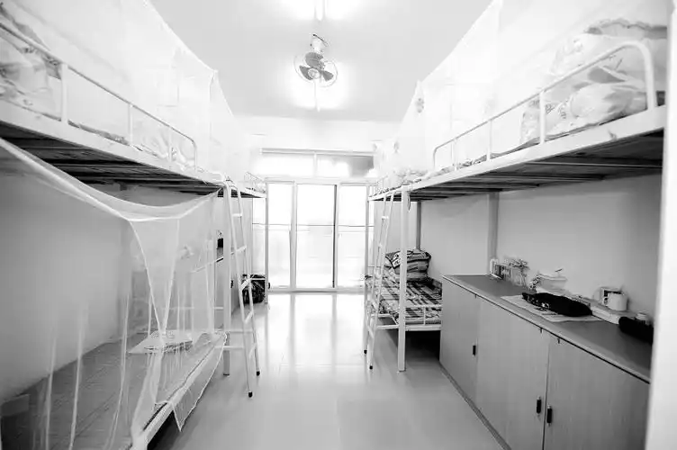 社会民生_厦门_新闻中心_台海网