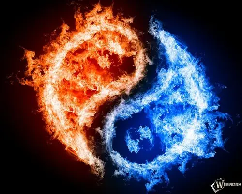 请问这个阴阳鱼图片出自哪个游戏或者网址?有大图吗?