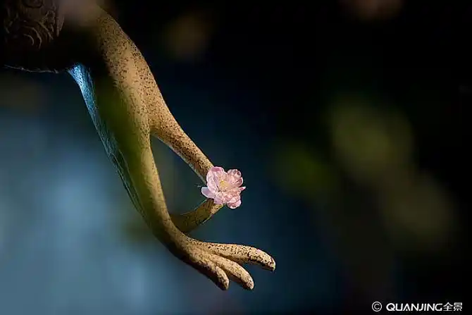 禅意-中国古典观音手