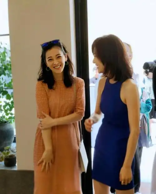 霍思燕的胸,梅婷的腿,秦岚的腰,这些中年女星性感起来真要命