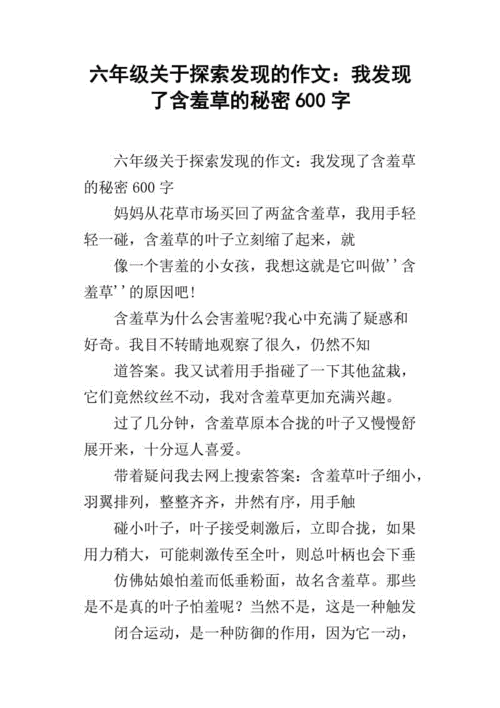 六年级关于探索发现的作文:我发现了含羞草的秘密600字
