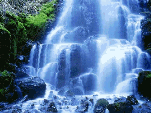 【西楼文苑品诗阁】2020年总(144)期【精品古诗词】作者//平台诗友