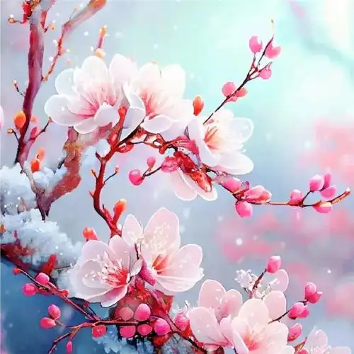 傲雪寒梅头像高清图片 唯美适合做微信头像的梅花_微信头像_头像屋