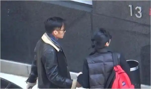 王菲谢霆锋牵手同行甜蜜照片引热议网友直呼太般配