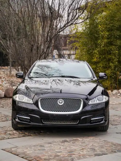 纯正英国血统大捷豹xjl