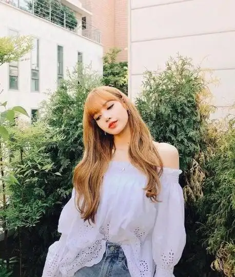 blackpink女团lisa资料(韩国女团blackpink将于6月回归)(4)