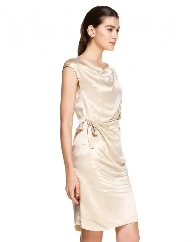 香槟色时尚淑女百搭盖肩袖连衣裙