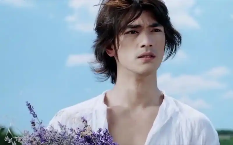 【薰衣草&天使&金城武】_哔哩哔哩_bilibili