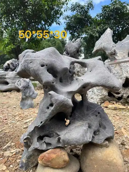 太湖石独石庭院小型摆件中式庭院景观石