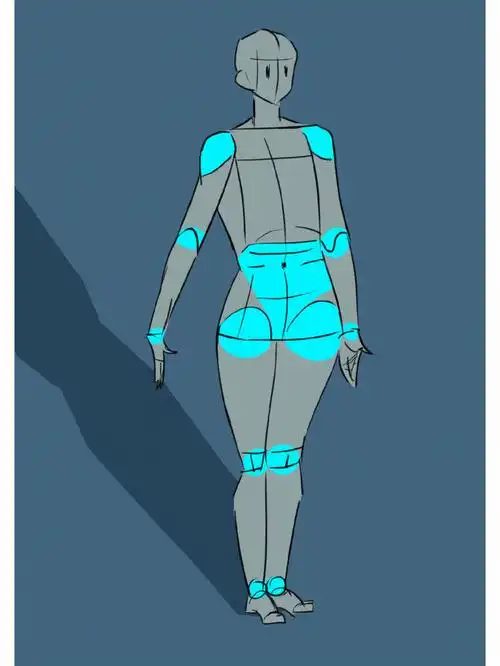 人体结构练习学习画画坚持365天