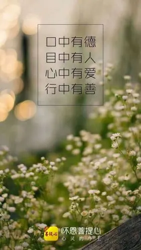 静心- 堆糖,美图壁纸兴趣社区