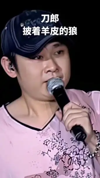 刀郎演唱会(披着羊皮的狼)