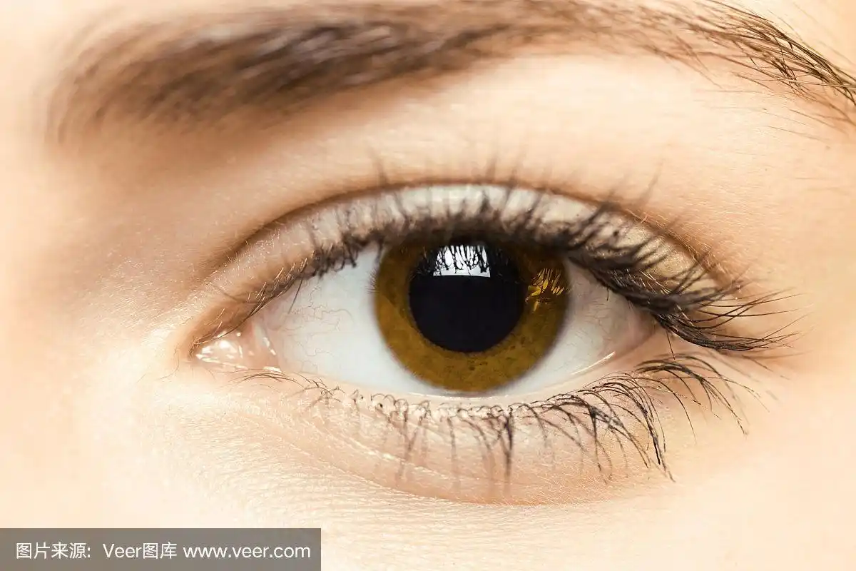棕色的眼睛
