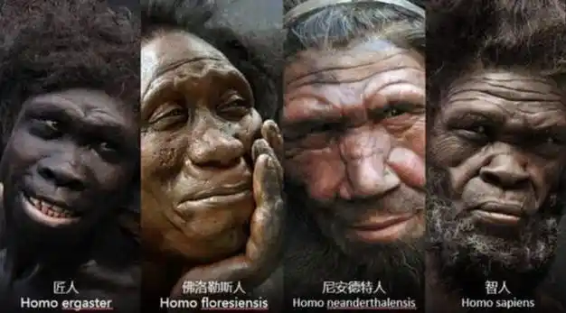 地球上一开始并没有人那么第一个人是怎么出现的