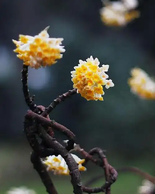 640_801竖版 竖屏