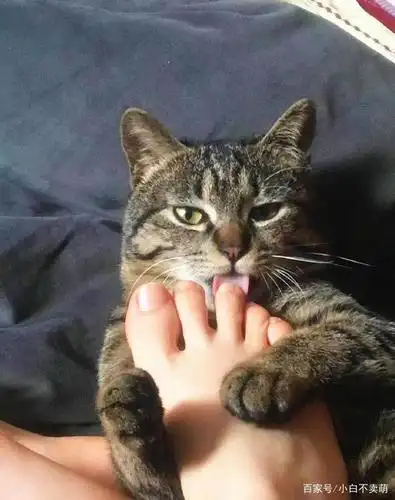 搞笑图片:爆笑趣事top8,但凡有个驾照也不敢这么开车