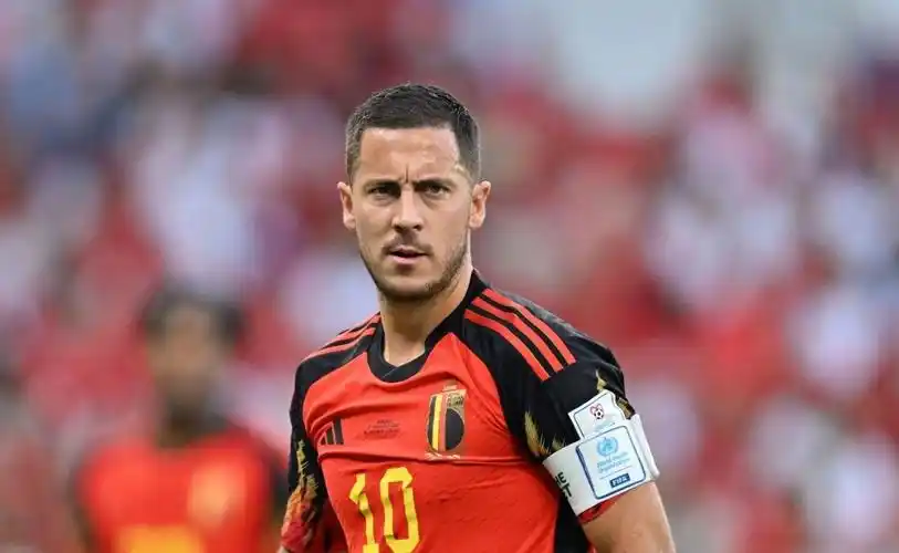 再见比利时队长!