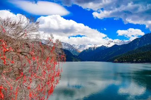 大美新疆(二)天山天池