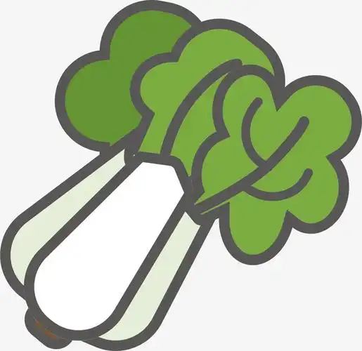 健康小白菜设计图标