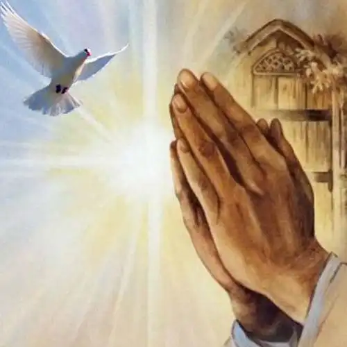 耶稣祈祷鸽子双手宗教钻石画