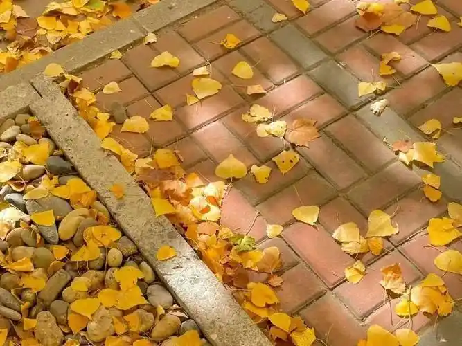 规律的作息有利于健康还能影响一个人的生活状态第二天拉开窗帘让自己