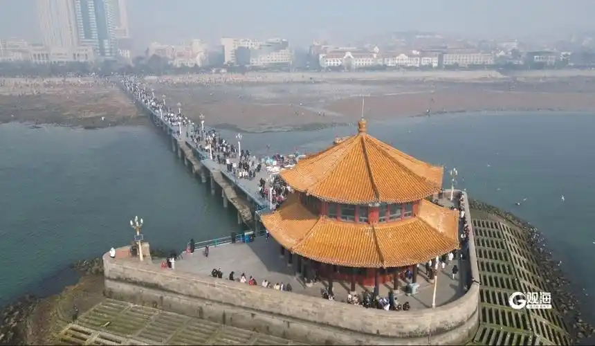 大年初一,青岛栈桥"长"这样!_话题_青网