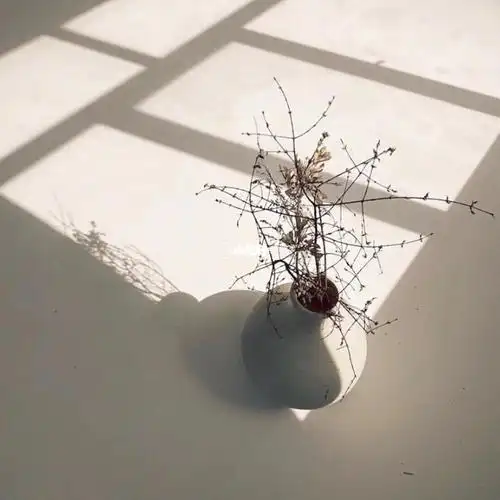 手执烟火以谋生,心怀诗意以谋爱 欧美风|ins壁纸|背景图 取图方法78