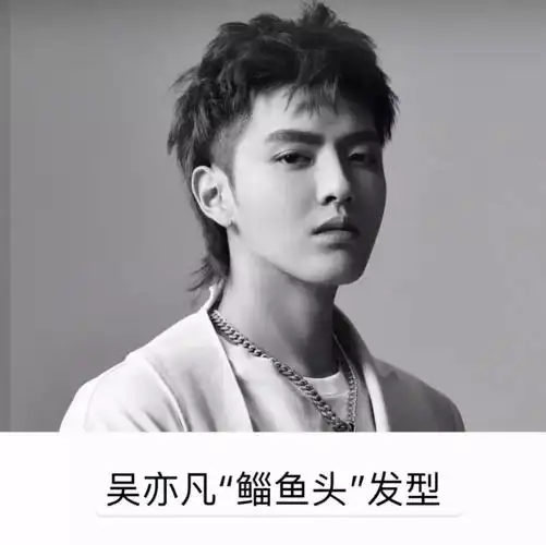 鲻鱼头怎么剪(拯救颜值发型之鲻) - 去钓鱼