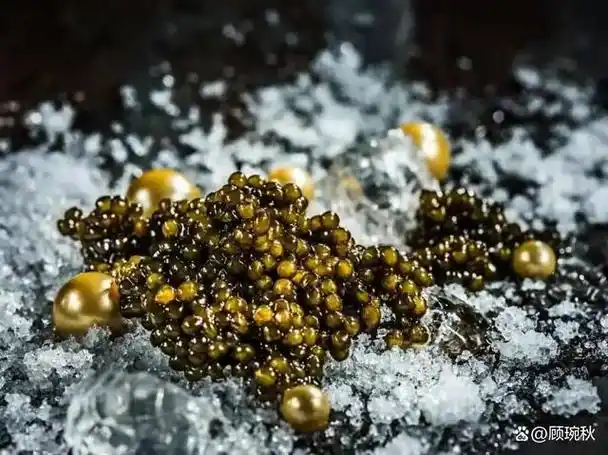 20世纪90年代,中国市场上的鱼子酱价格每公斤高达117万美元.